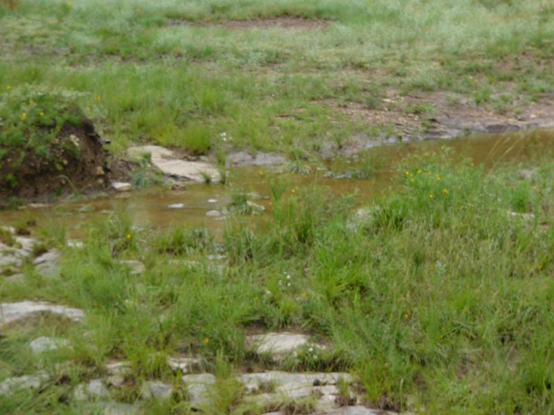 P1050032.jpg
