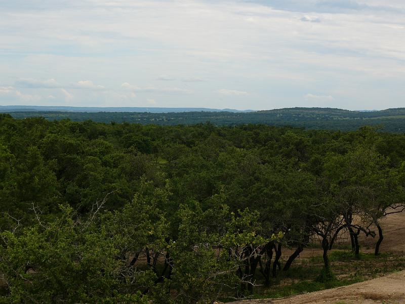 P1050037.jpg