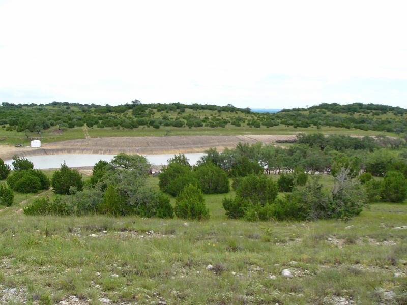 P1050043.jpg