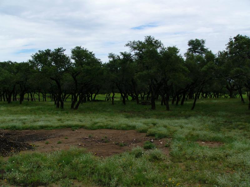 P1050045.jpg