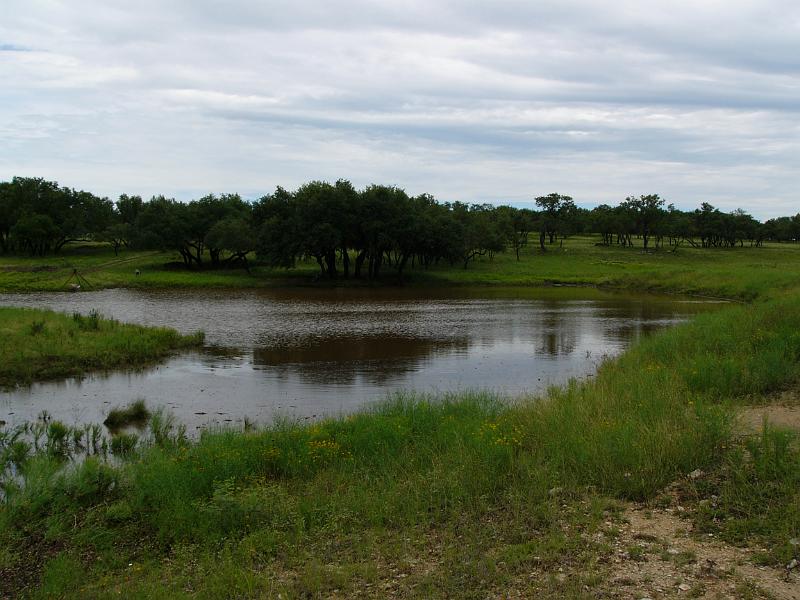 P1050056.jpg